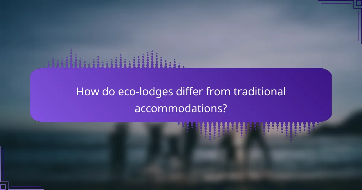How do eco-lodges differ from traditional accommodations?
