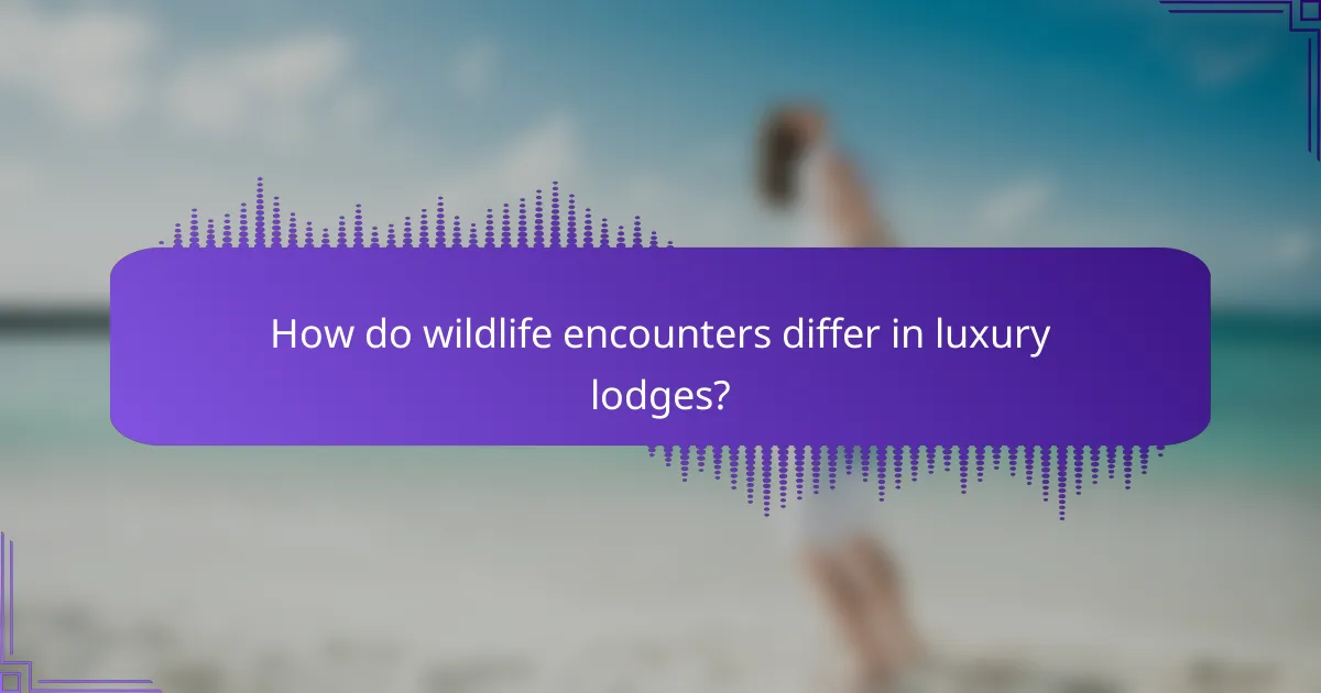 How do wildlife encounters differ in luxury lodges?