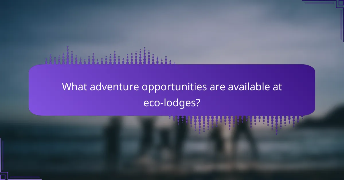 What adventure opportunities are available at eco-lodges?