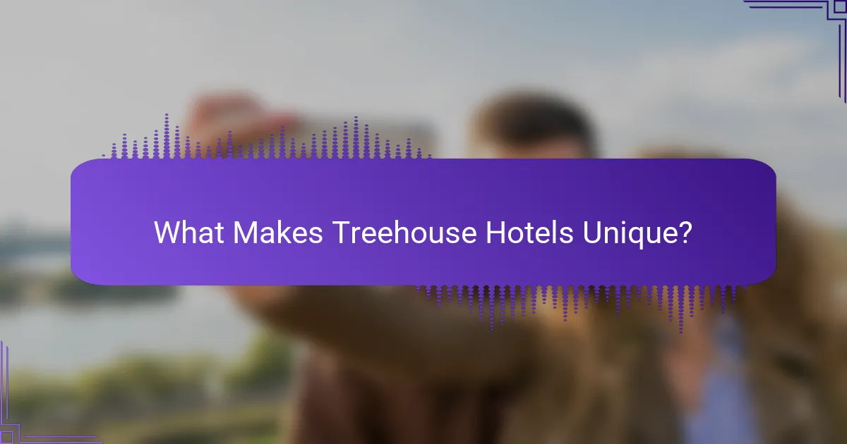 What Makes Treehouse Hotels Unique?