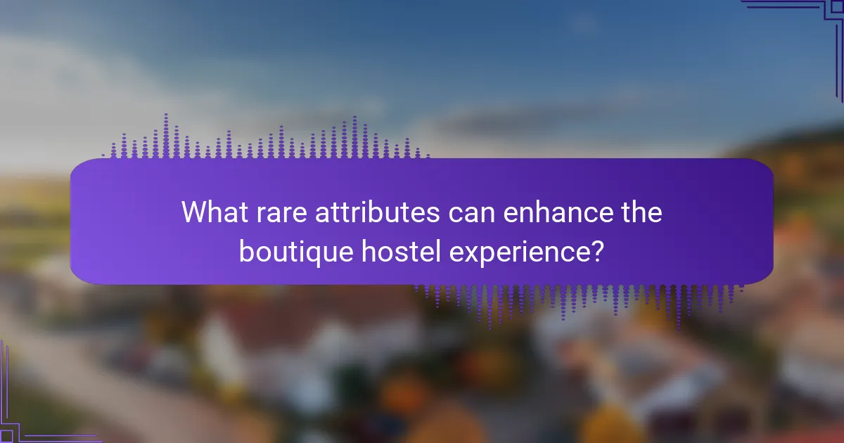 What rare attributes can enhance the boutique hostel experience?