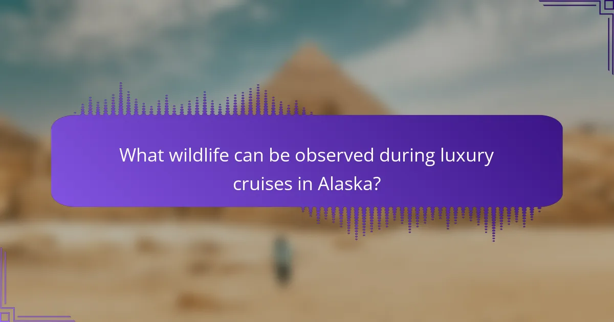 What wildlife can be observed during luxury cruises in Alaska?