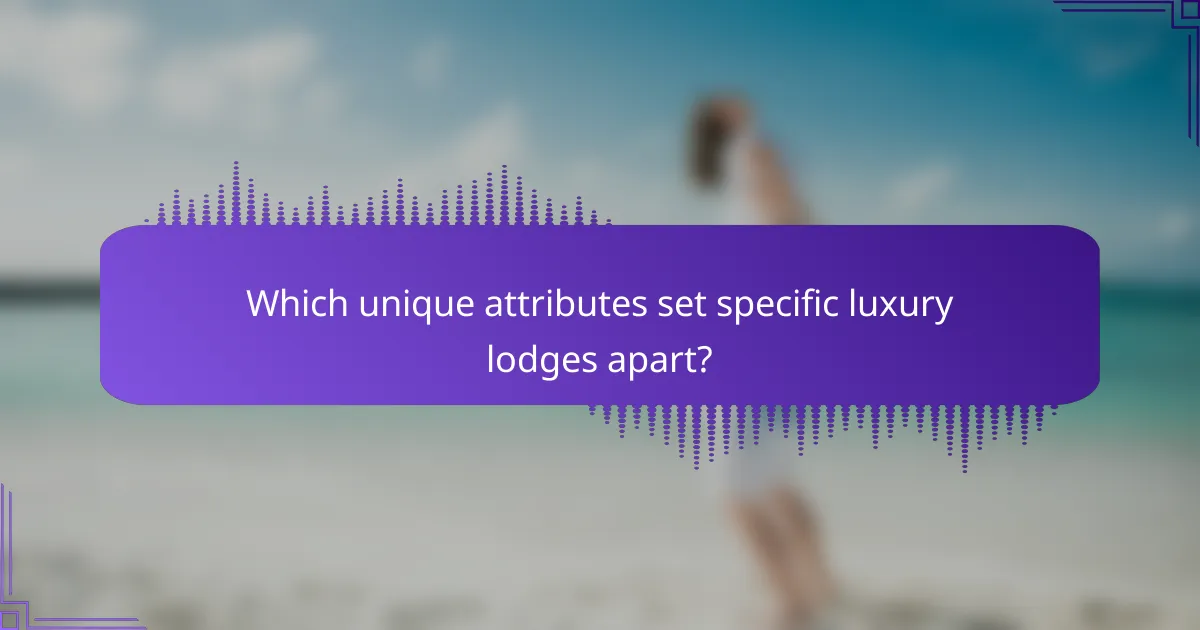 Which unique attributes set specific luxury lodges apart?